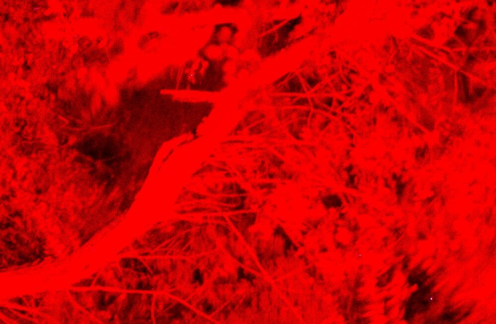 BECA Foundation открива “Никога повече, и отново” – дебютна фотографска изложба на Валентин Пеев